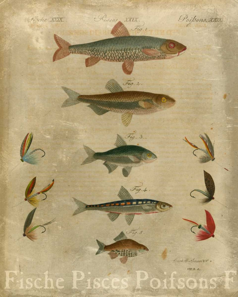 Wall Art Painting id:107768, Name: Pisces Composition I, Artist: Vision Studio