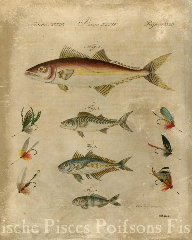Wall Art Painting id:107769, Name: Pisces Composition II, Artist: Vision Studio