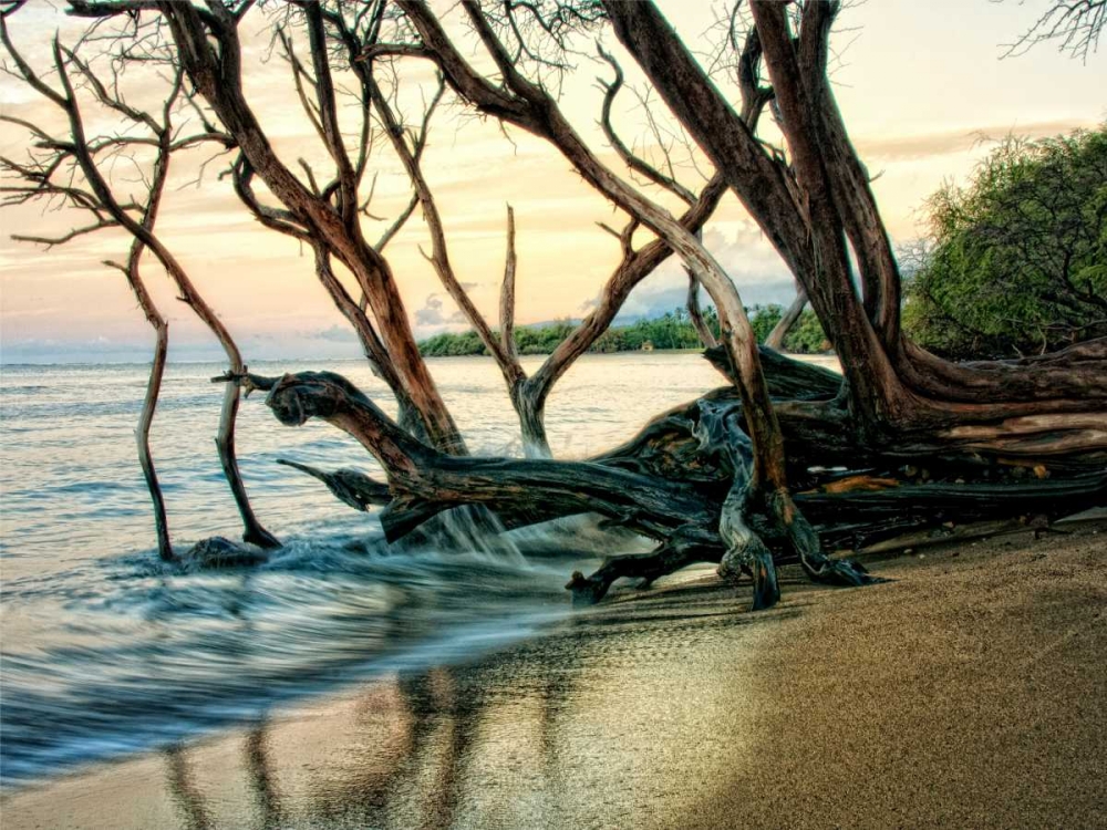 Similar wall art painting: 42464