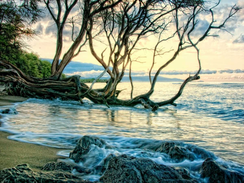 Art Print: Reaching for the Sea II