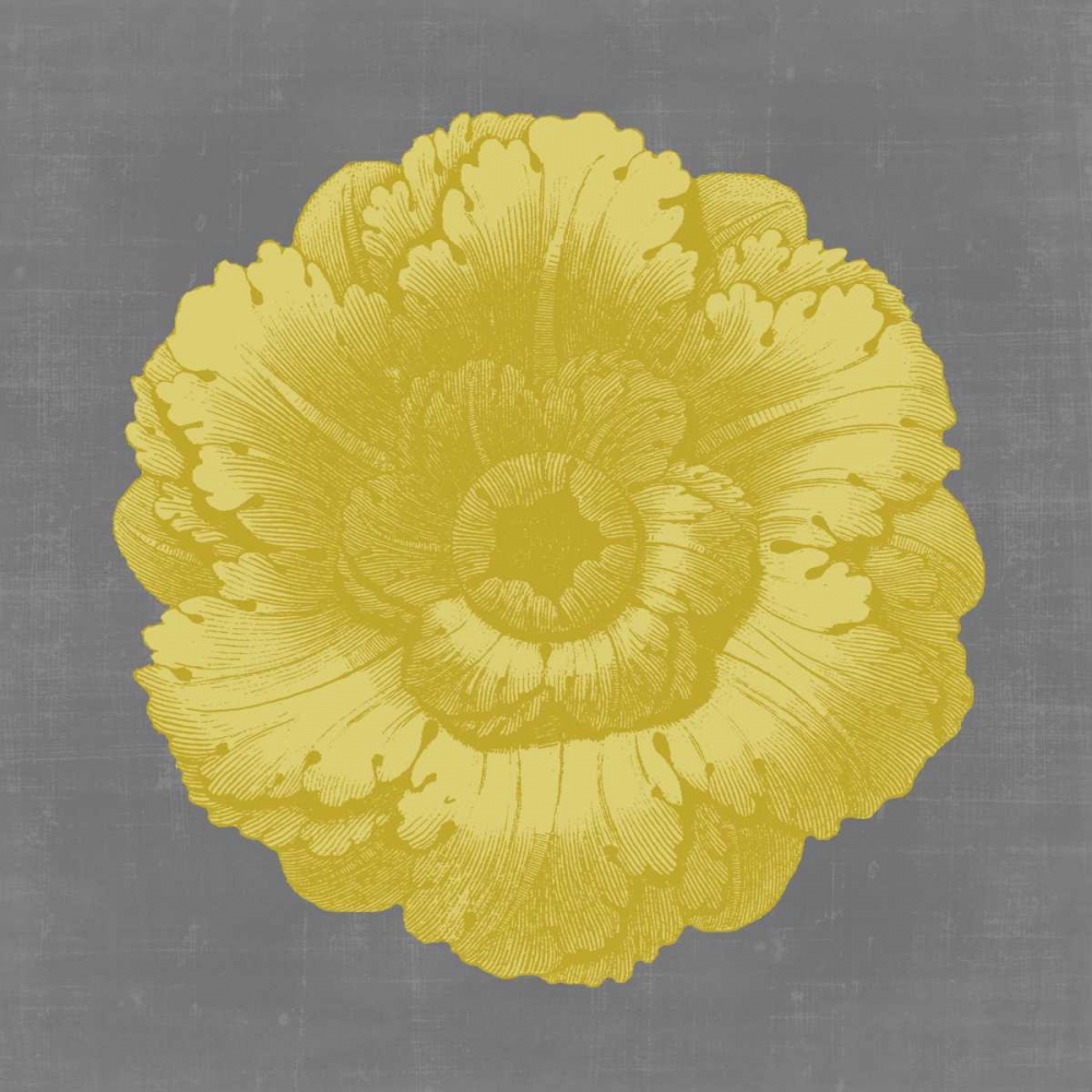 Wall Art Painting id:34994, Name: Gilded Rosette VI, Artist: Vision Studio
