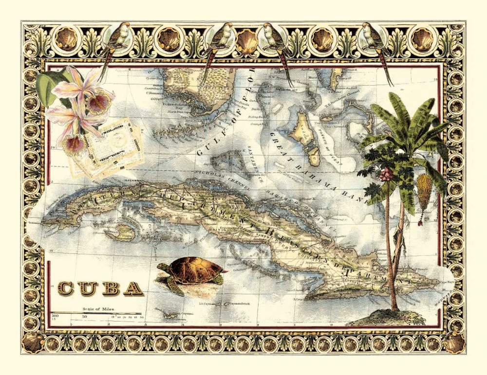 Wall Art Painting id:77508, Name: Tropical Map of Cuba, Artist: Vision Studio