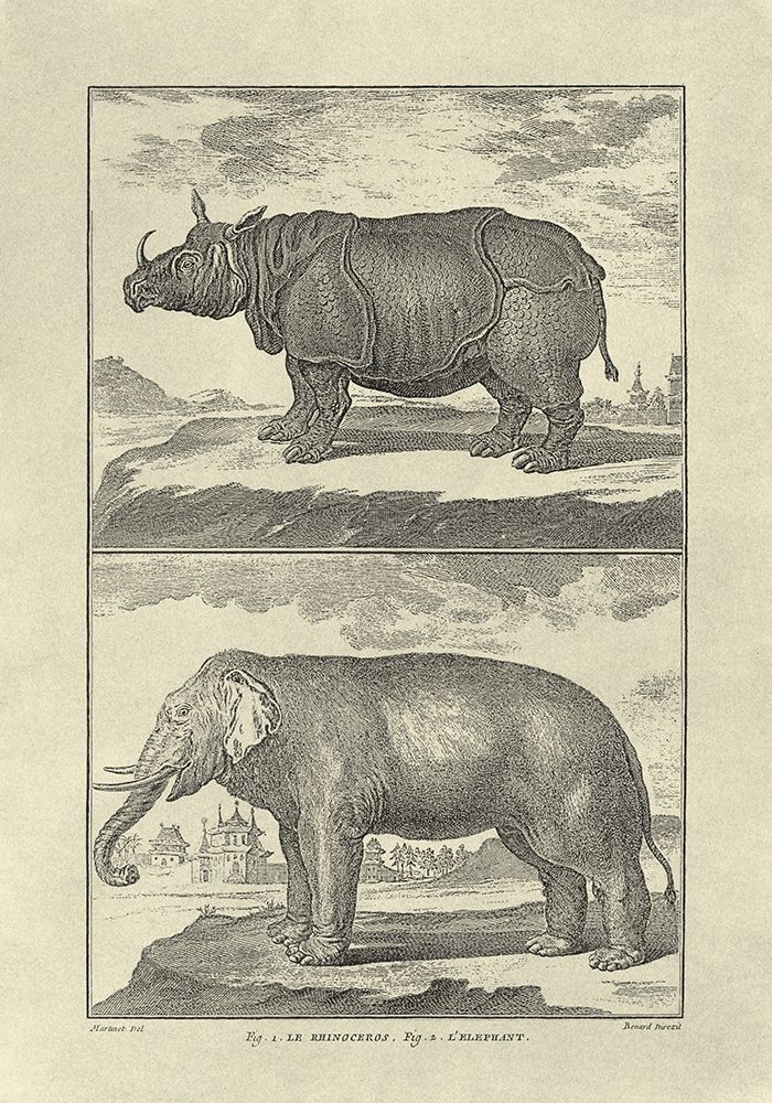 Wall Art Painting id:197650, Name: Elephant and Rhino, Artist: Diderot, Denis