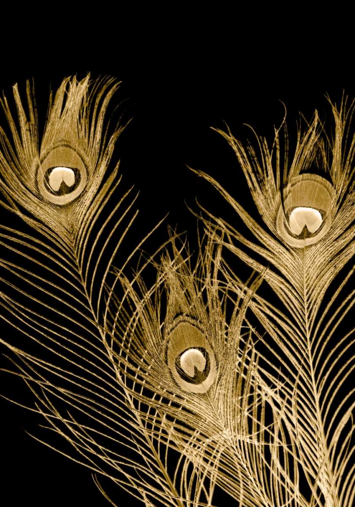 Similar wall art painting: 184302