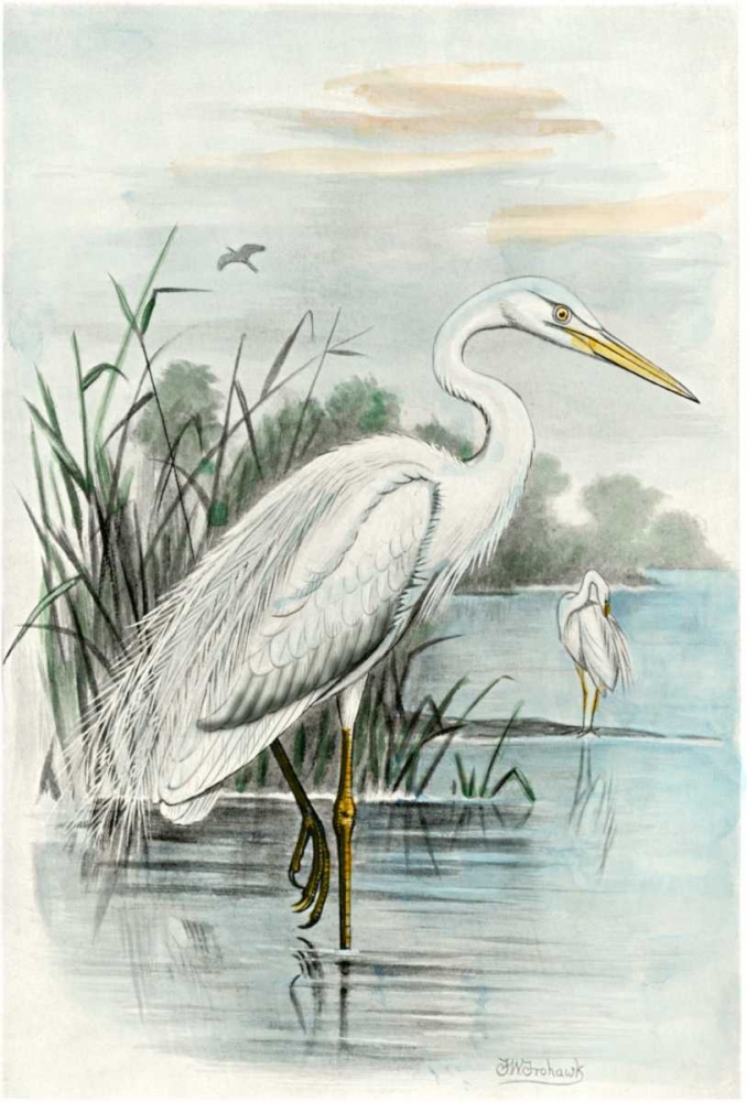 Wall Art Painting id:38399, Name: Oversize White Heron, Artist: unknown