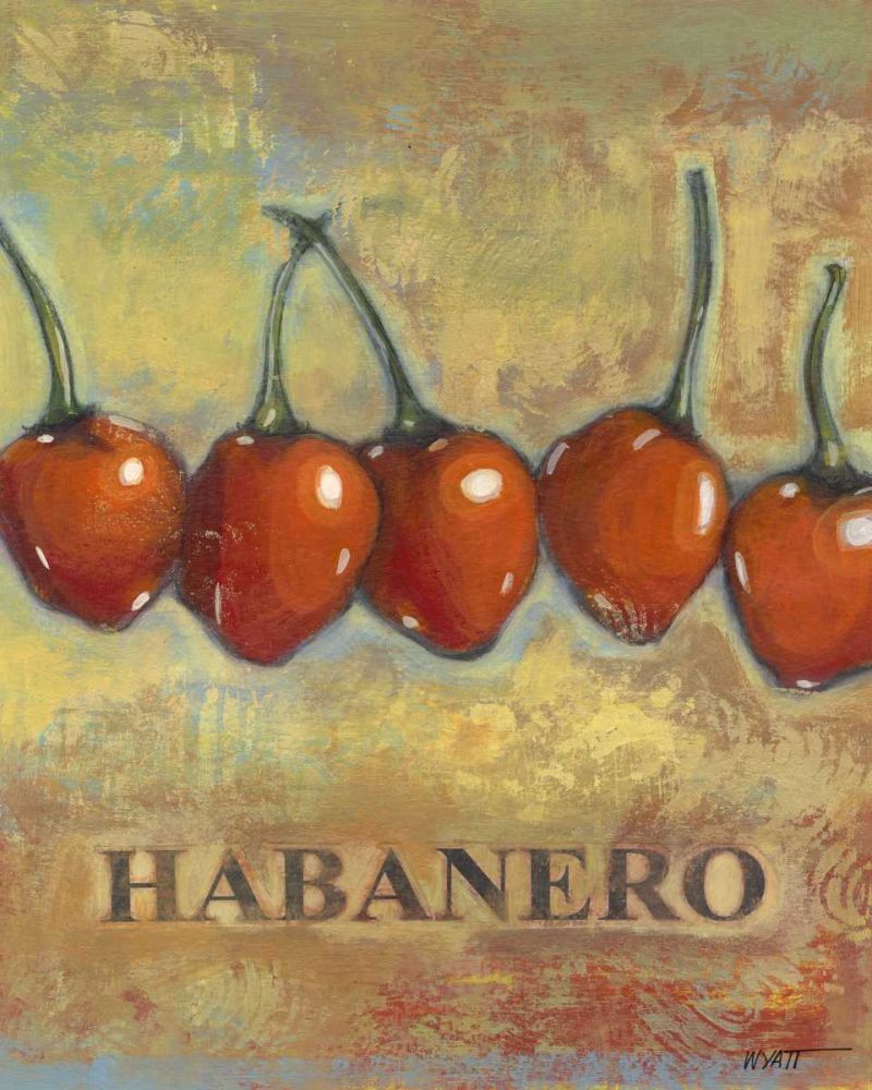 Wall Art Painting id:236873, Name: Habanero, Artist: Wyatt Jr., Norman