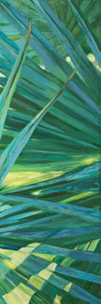 Art Print: Fan Palm II