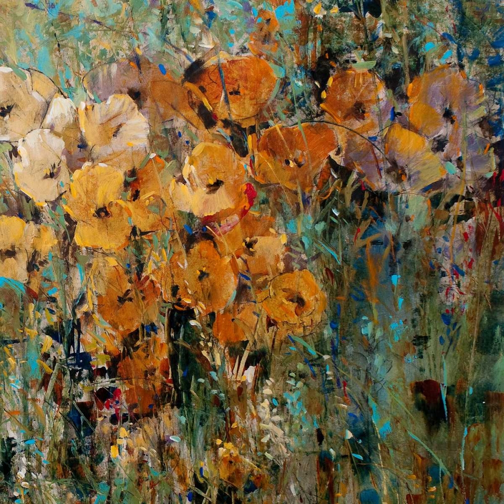 Wall Art Painting id:38418, Name: Amber Poppy Field II, Artist: OToole, Tim