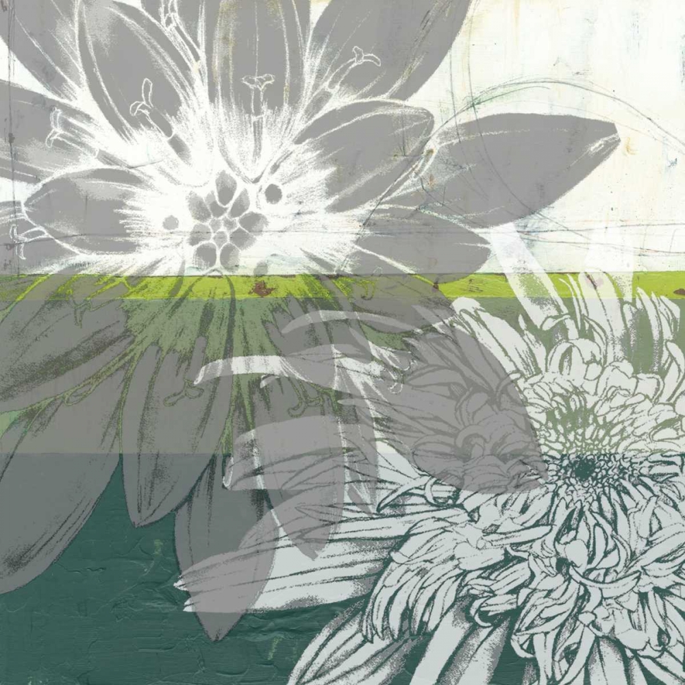 Wall Art Painting id:74793, Name: Graphic Blooms I, Artist: Goldberger, Jennifer