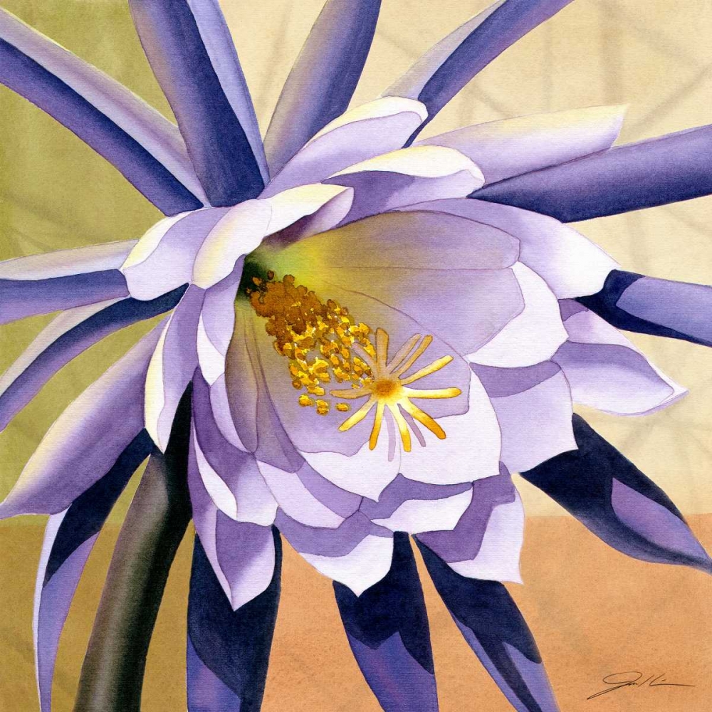 Wall Art Painting id:62880, Name: Desert Bloom II, Artist: Higby, Jason