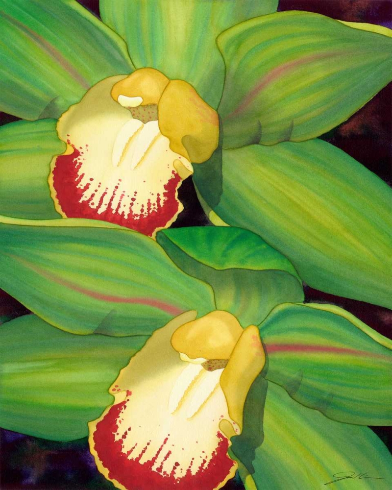 Wall Art Painting id:49786, Name: Lime Orchid I, Artist: Higby, Jason