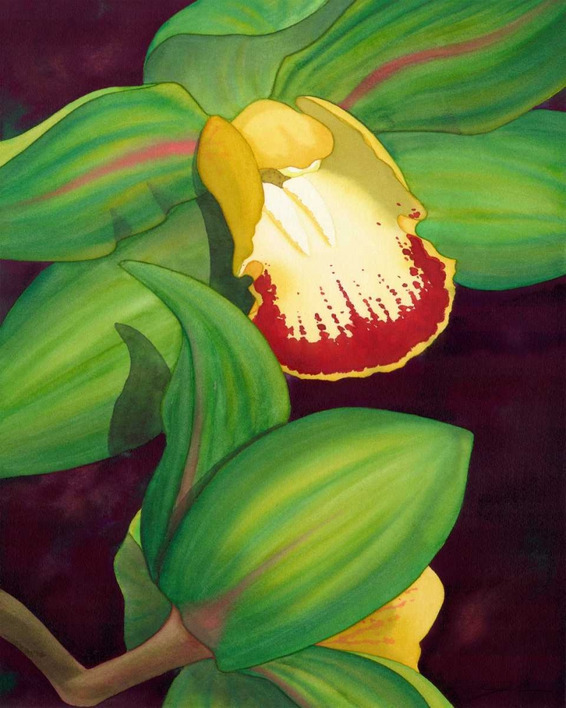 Wall Art Painting id:49787, Name: Lime Orchid II, Artist: Higby, Jason