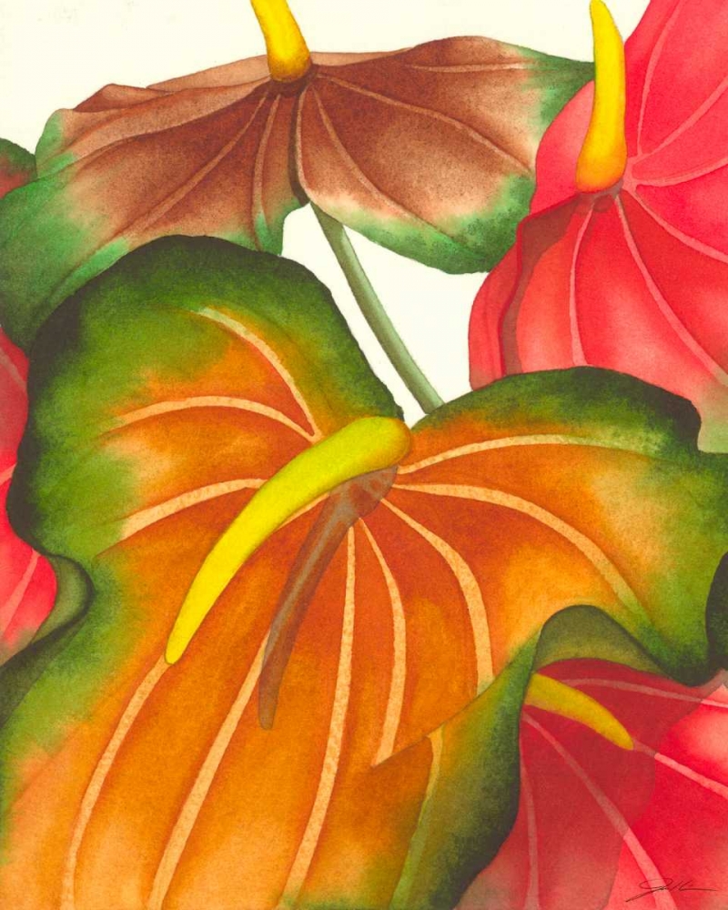 Wall Art Painting id:49788, Name: Anthuria I, Artist: Higby, Jason