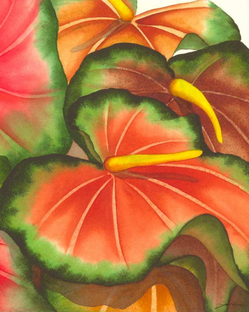 Wall Art Painting id:49789, Name: Anthuria II, Artist: Higby, Jason