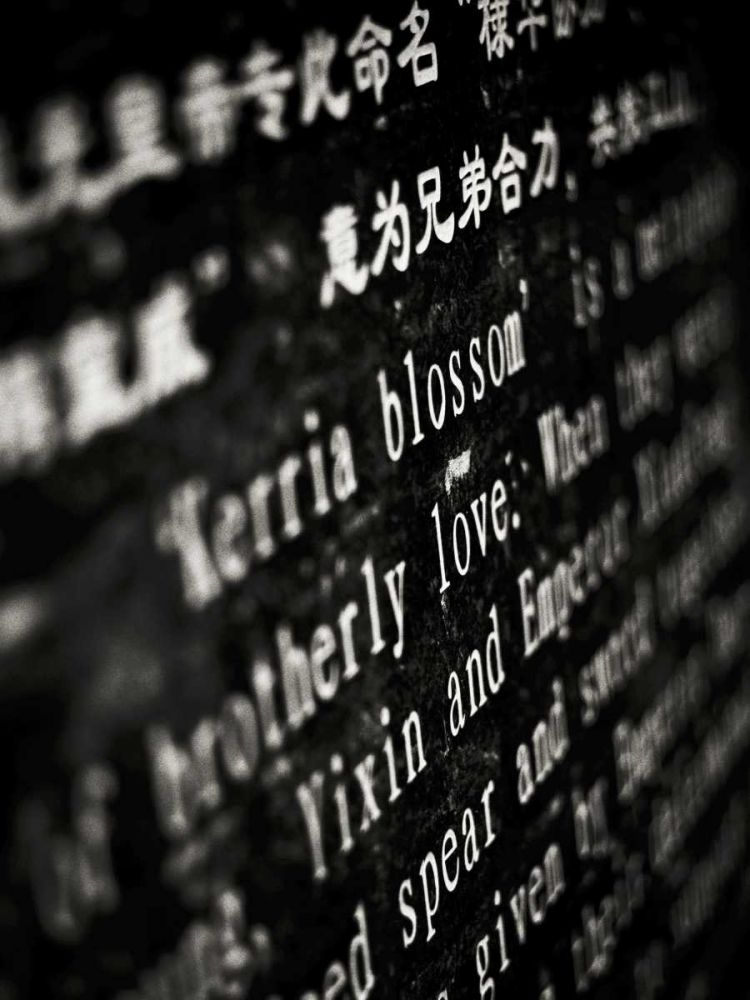 Art Print: Lithography I