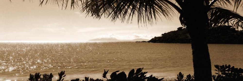 Wall Art Painting id:42498, Name: After the Rains, Artist: Bay, Noah