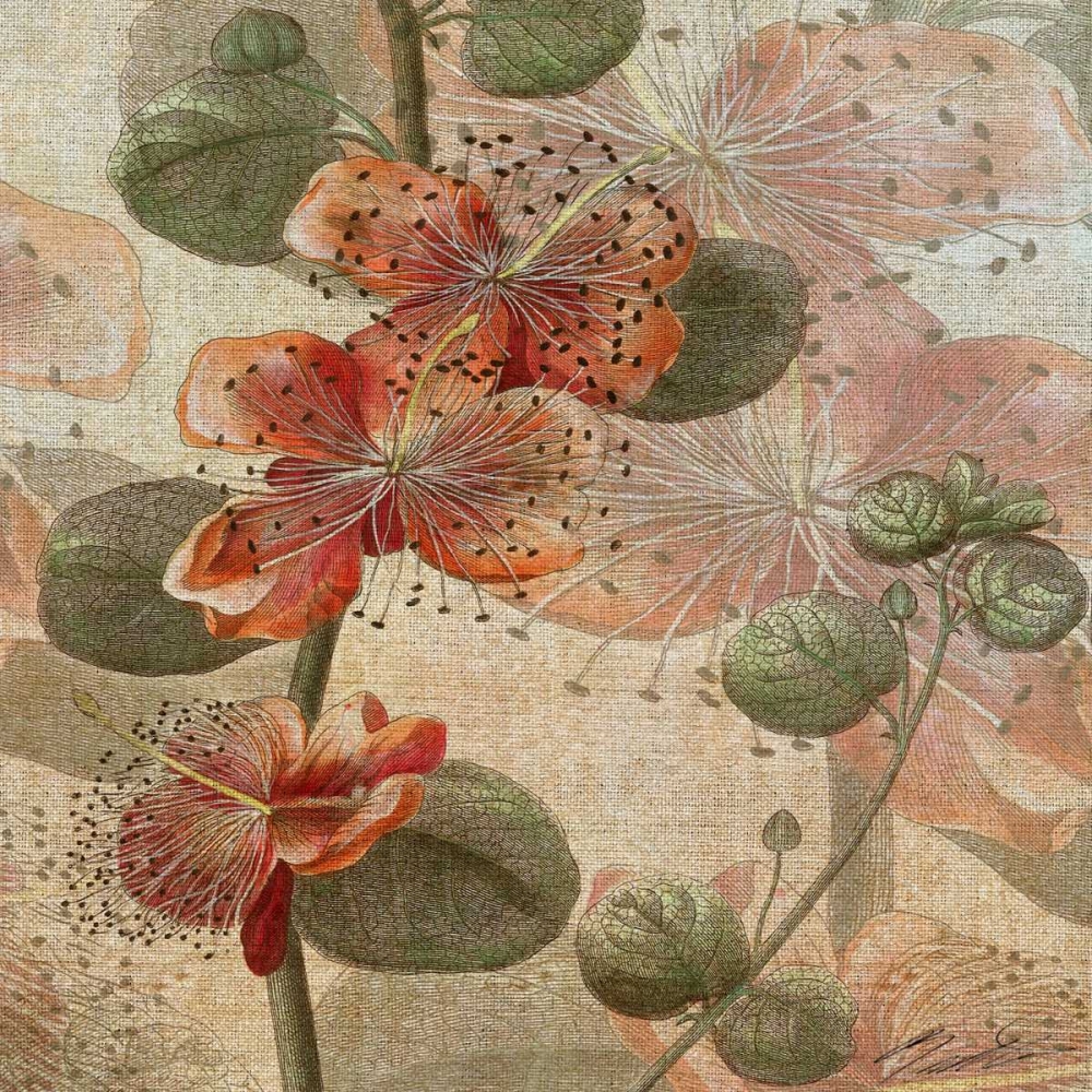 Wall Art Painting id:42484, Name: Desert Botanicals I, Artist: Butler, John