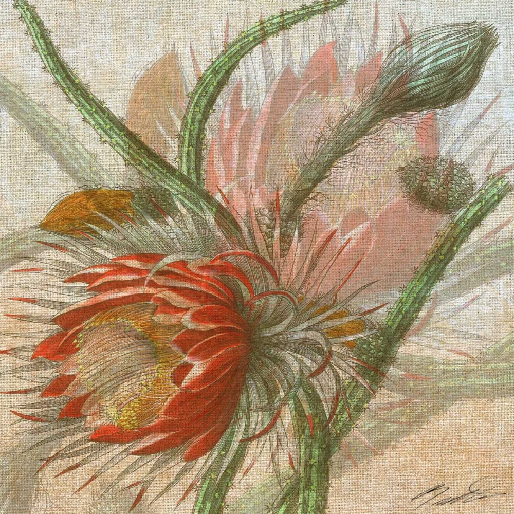 Wall Art Painting id:42485, Name: Desert Botanicals II, Artist: Butler, John