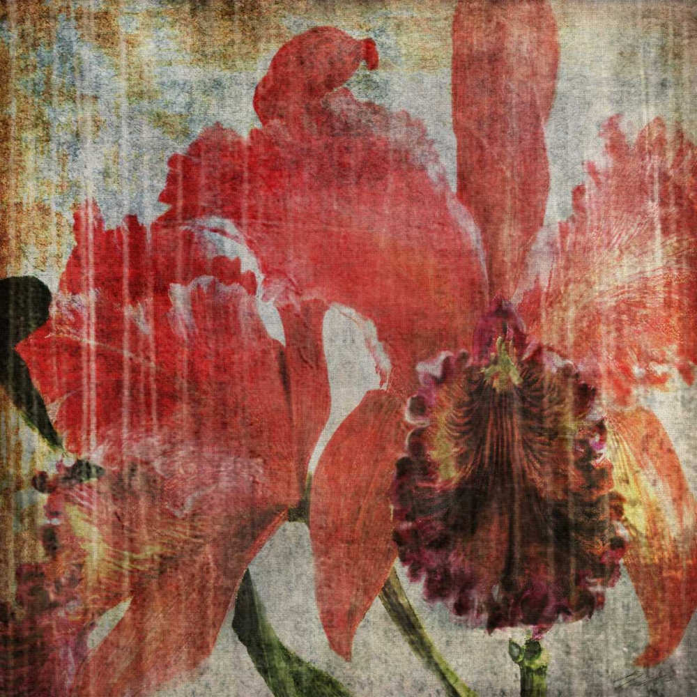 Wall Art Painting id:42379, Name: Pacific Orchid I, Artist: Butler, John