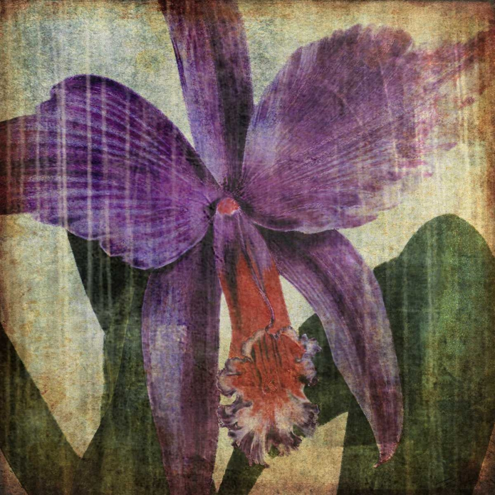 Wall Art Painting id:42380, Name: Pacific Orchid II, Artist: Butler, John