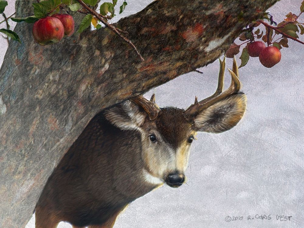 Wall Art Painting id:226999, Name: Apple Deer, Artist: Vest, Chris