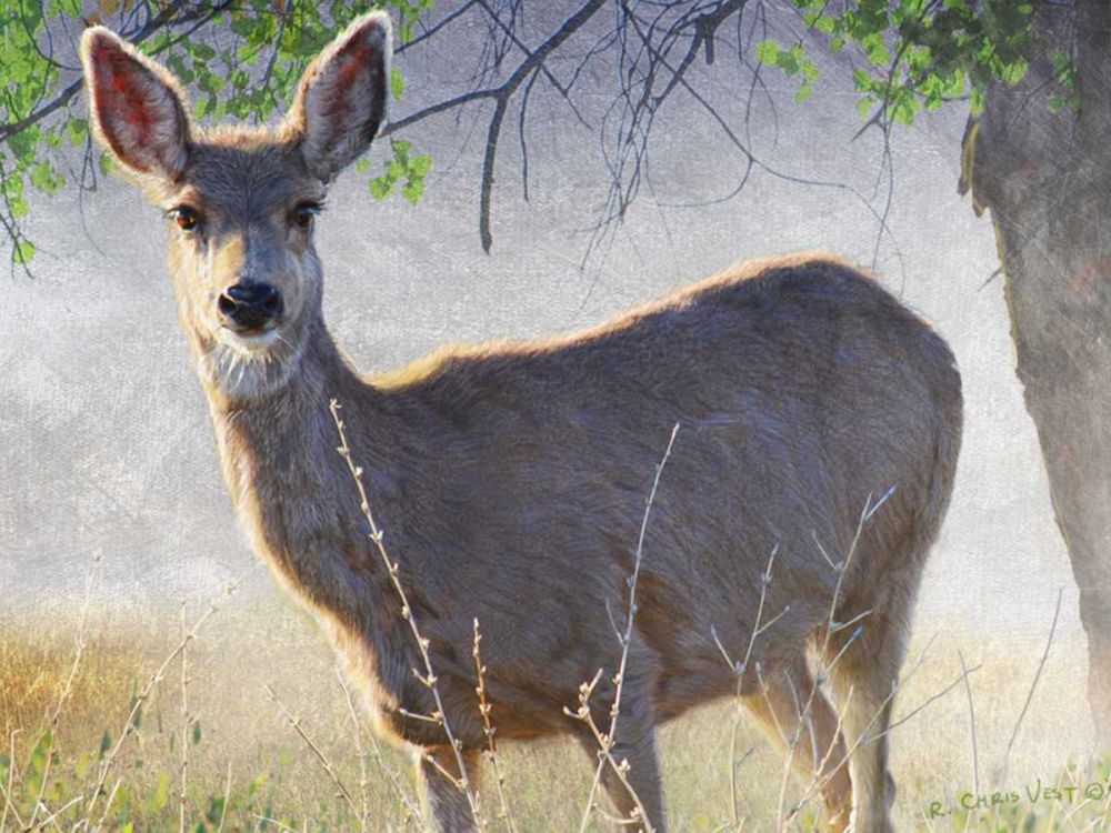 Similar wall art painting: 237509