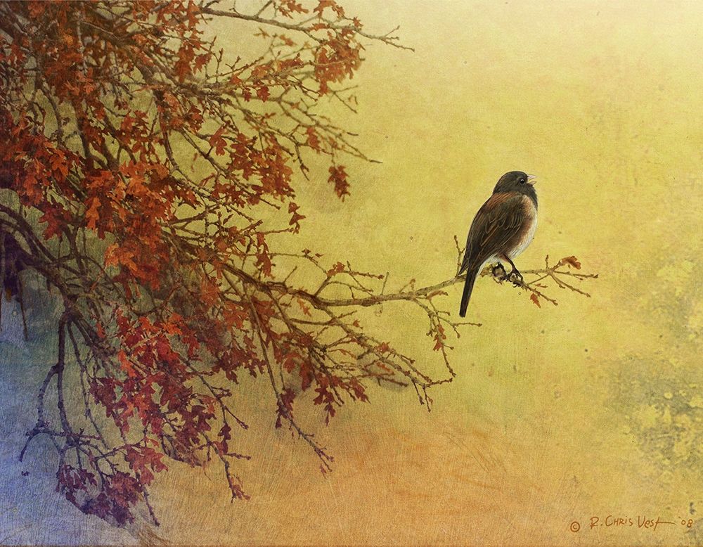 Wall Art Painting id:227003, Name: Custom Snow Oak Junco (ASH), Artist: Vest, Chris