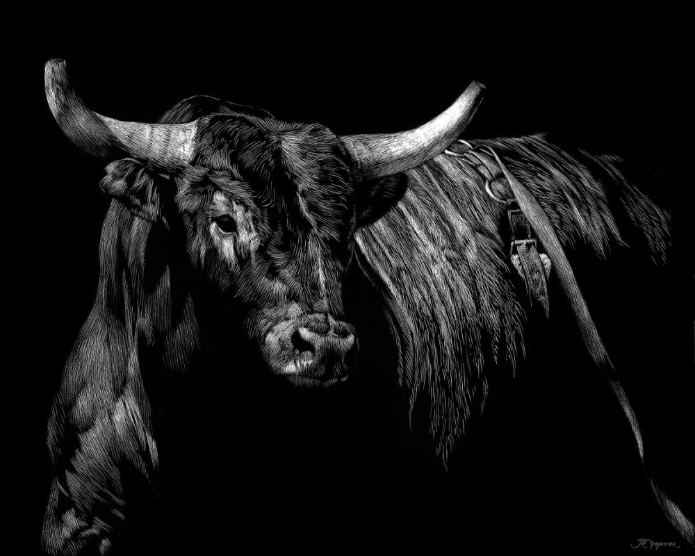 Wall art: Brindle Rodeo Bull, by Chapman, Julie T.