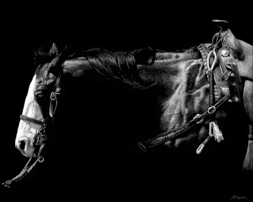 Art Print: Baldfaced Bulldogger