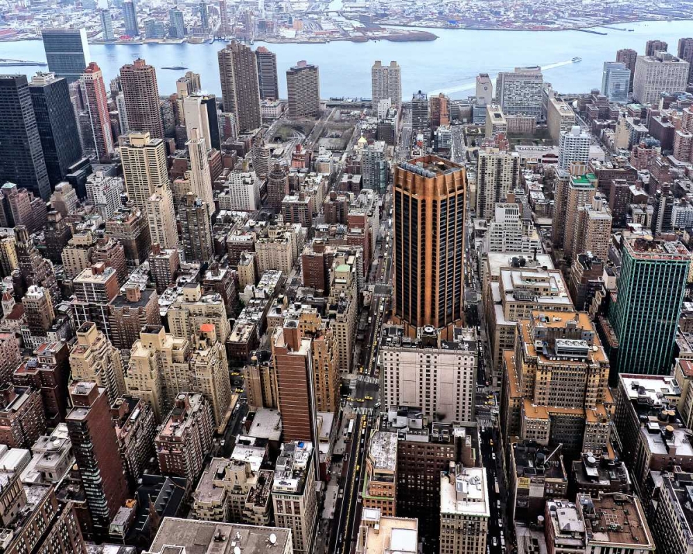 Art Print: Components