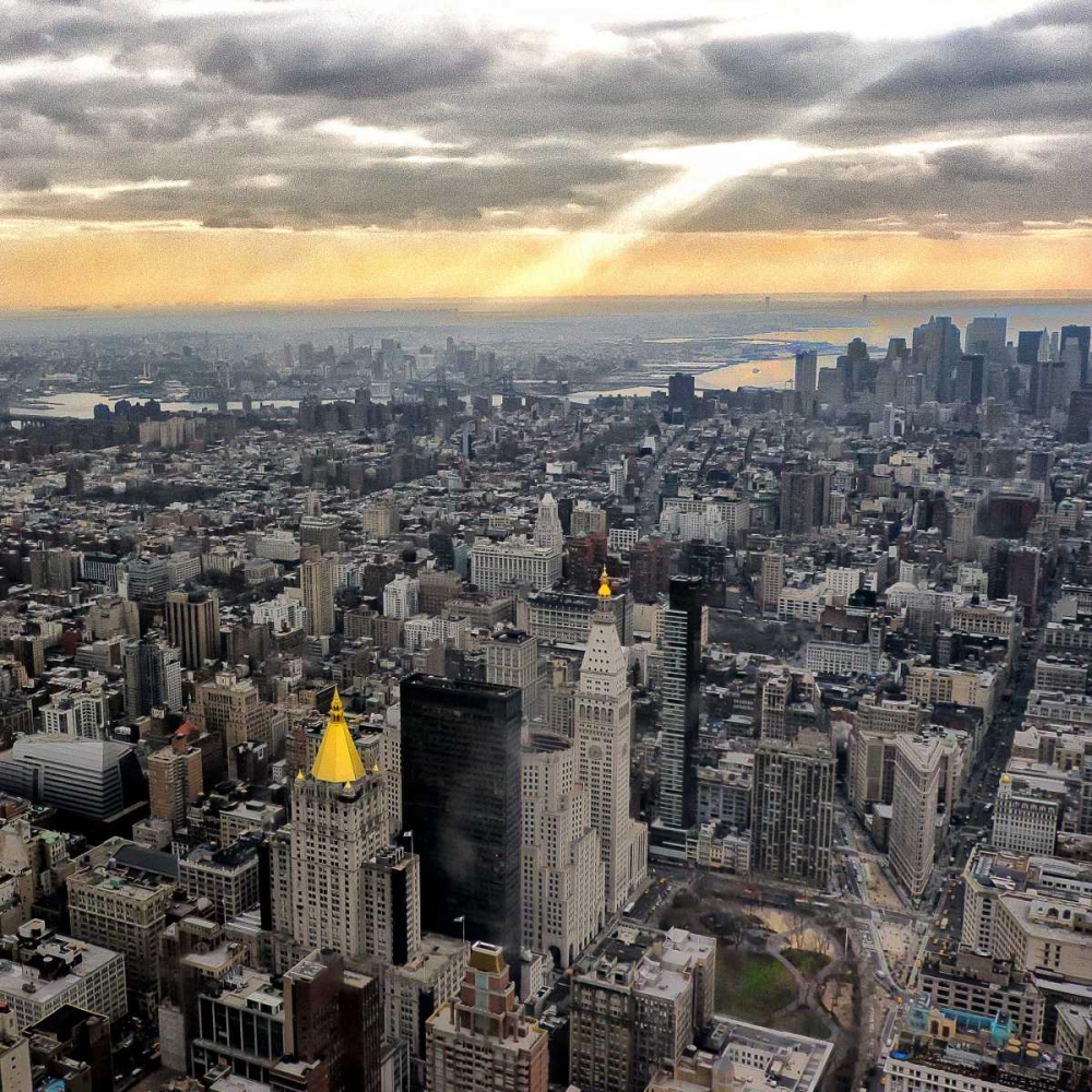 Art Print: Gold Tones