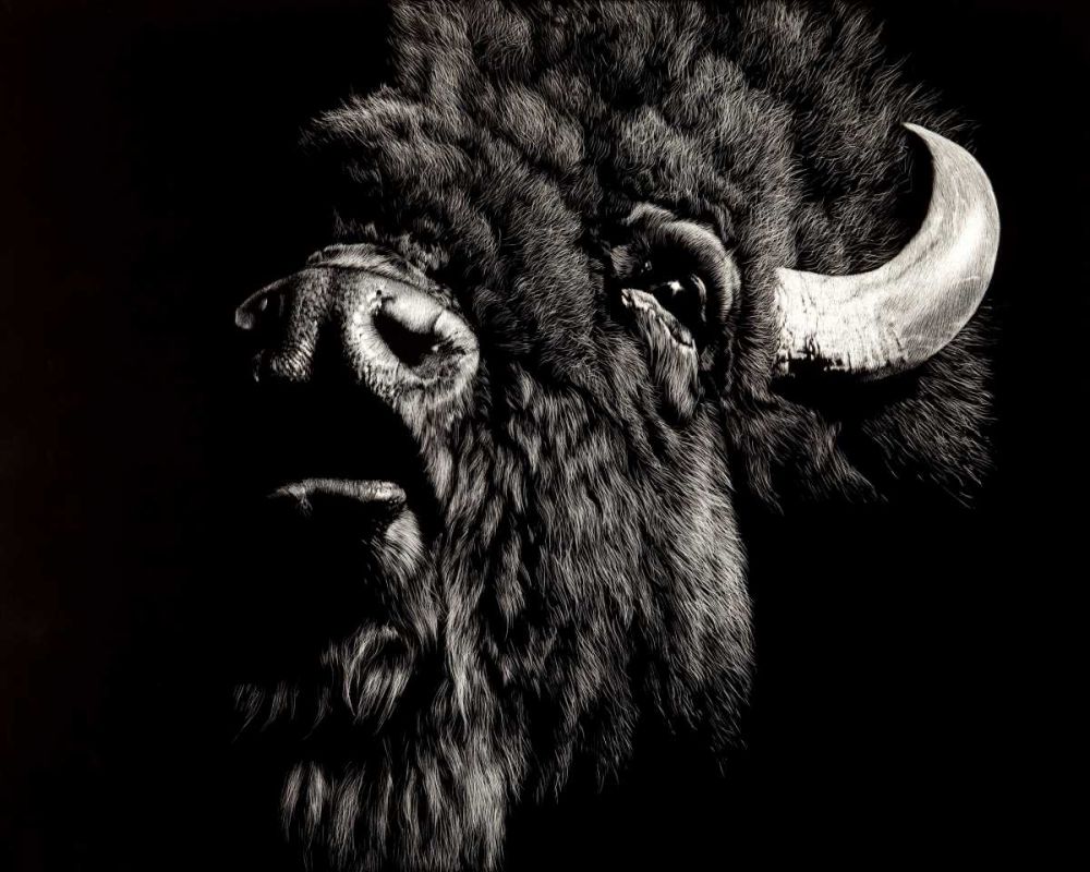 Art Print: Enduring #4