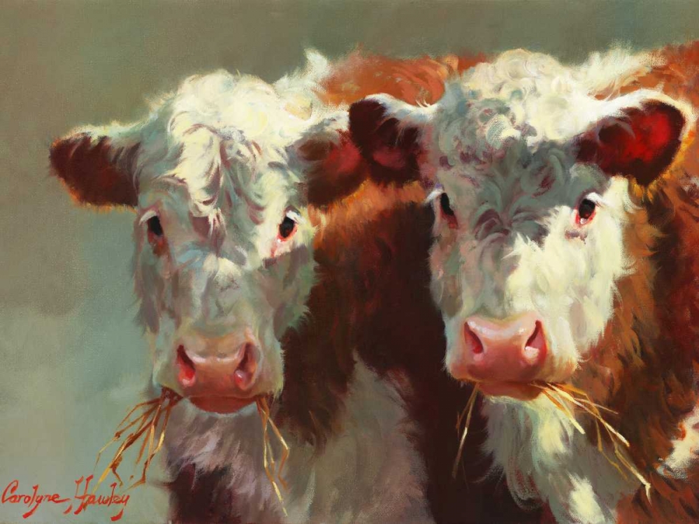 Wall Art Painting id:66302, Name: Cow Belles, Artist: Hawley, Carolyne