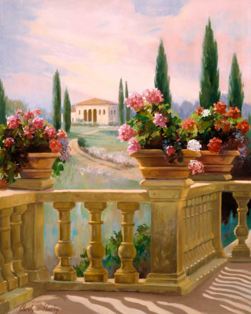 Wall Art Painting id:66310, Name: Tuscany Morning, Artist: Hawley, Carolyne