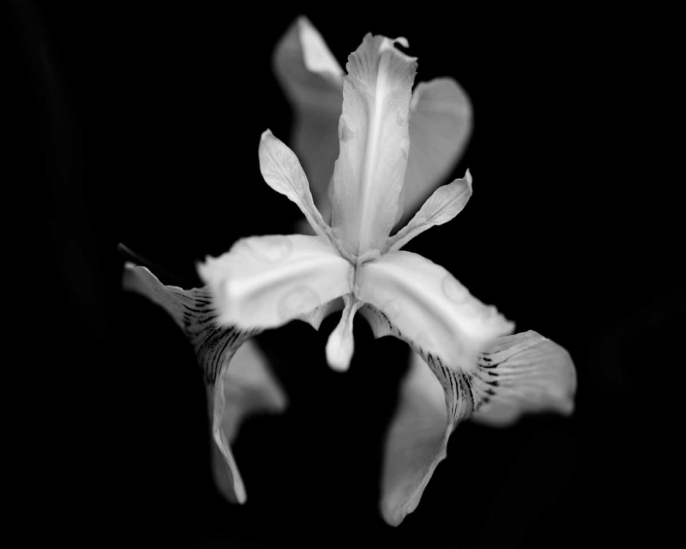 Similar wall art painting: 156265