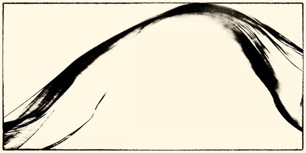 Art Print: Silk Ink II