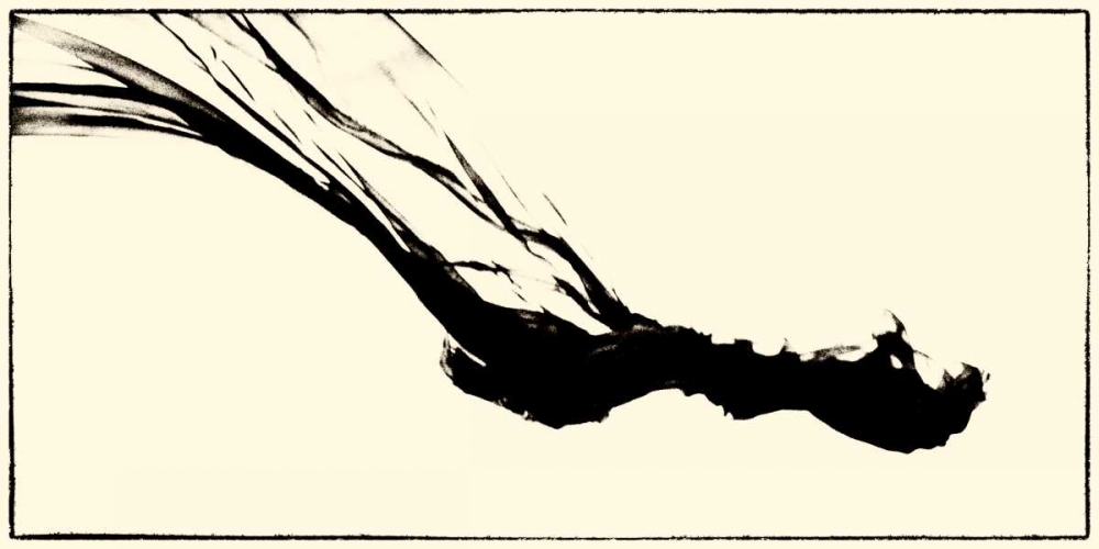Art Print: Silk Ink III
