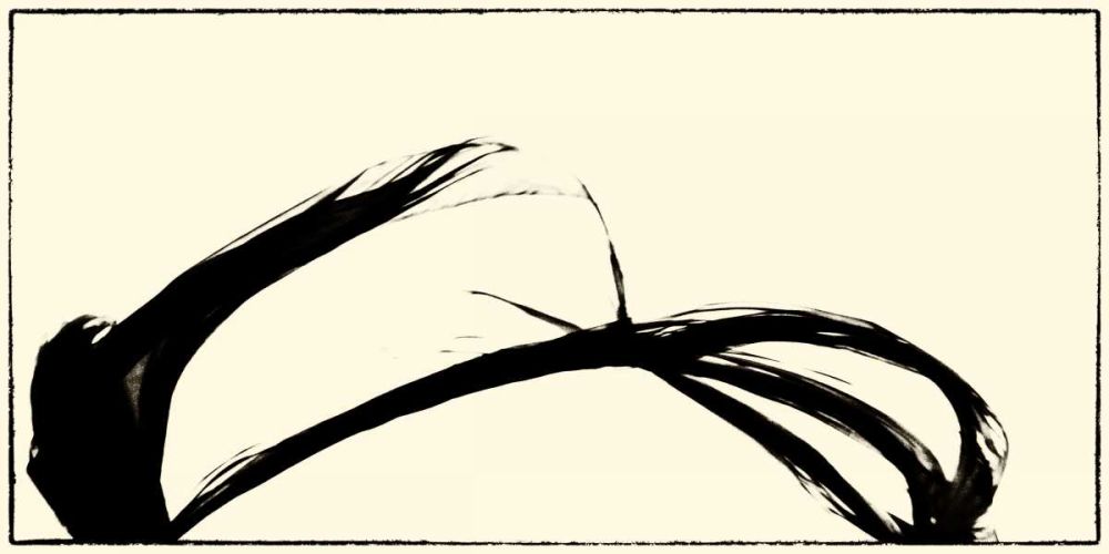 Wall art: Silk Ink IV, by Ling, Tang