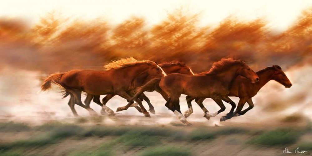 Art Print: Blazing Herd II