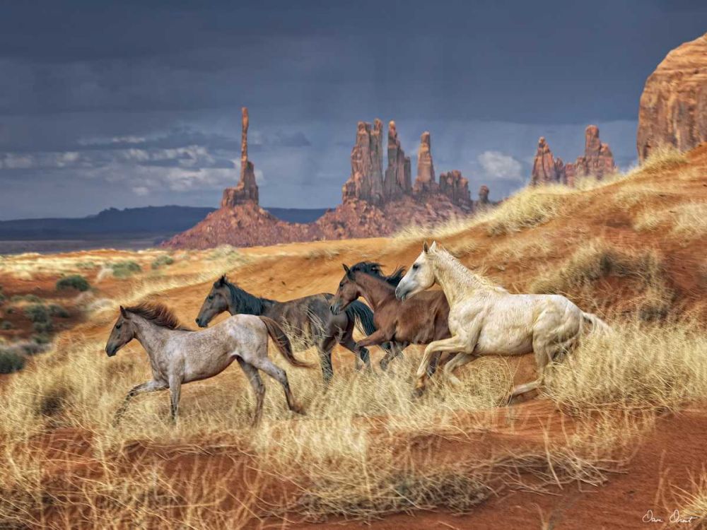 Wall art: Monumental Run , by Drost, David