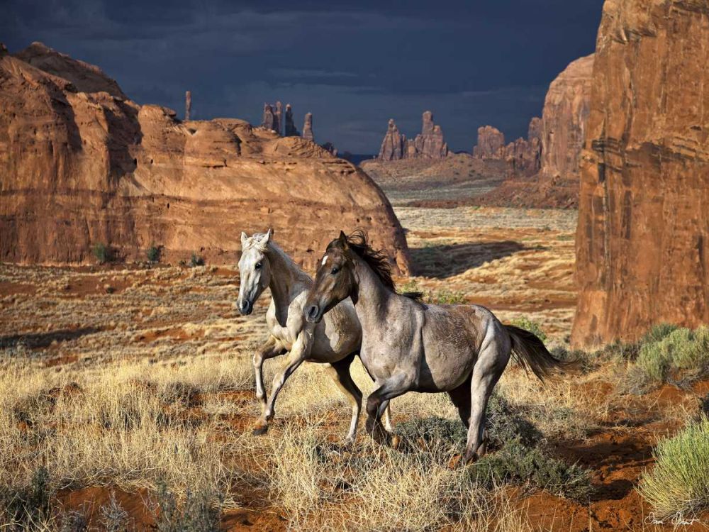 Wall art: Best Friends, by Drost, David