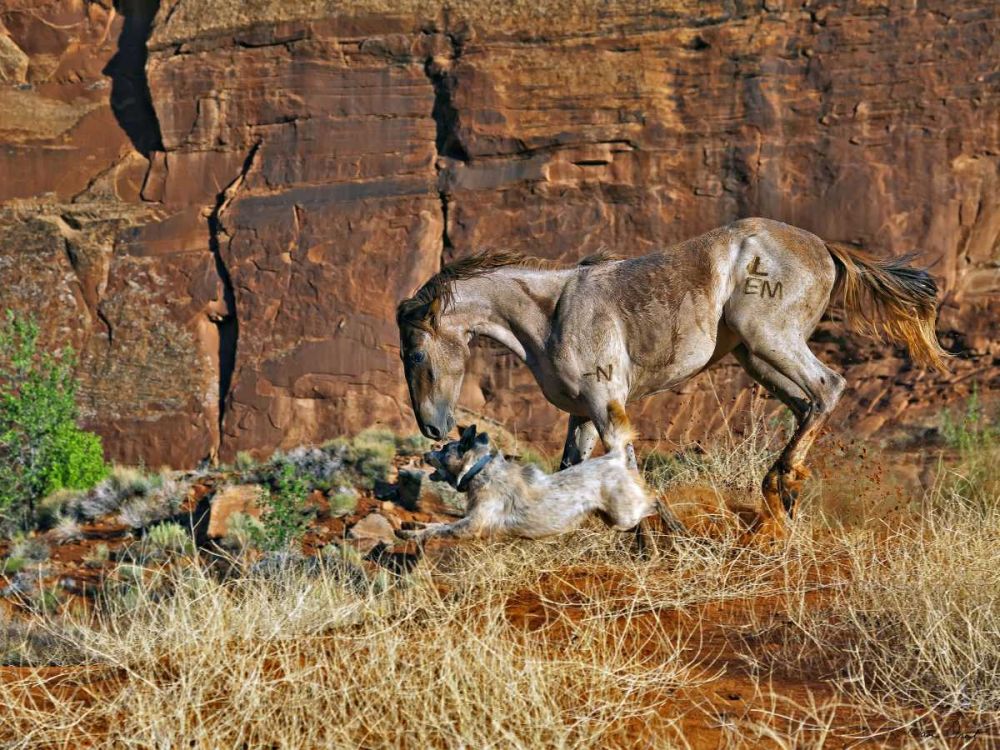 Art Print: Running Horses I