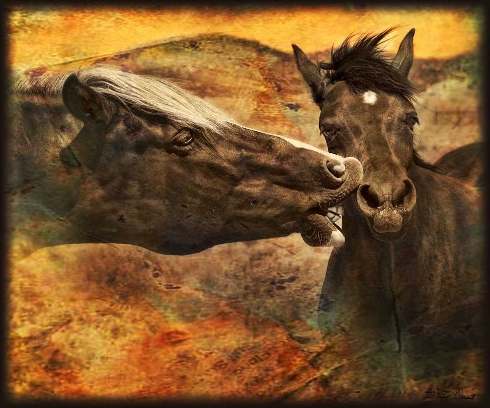 Art Print: Kissing Horses I