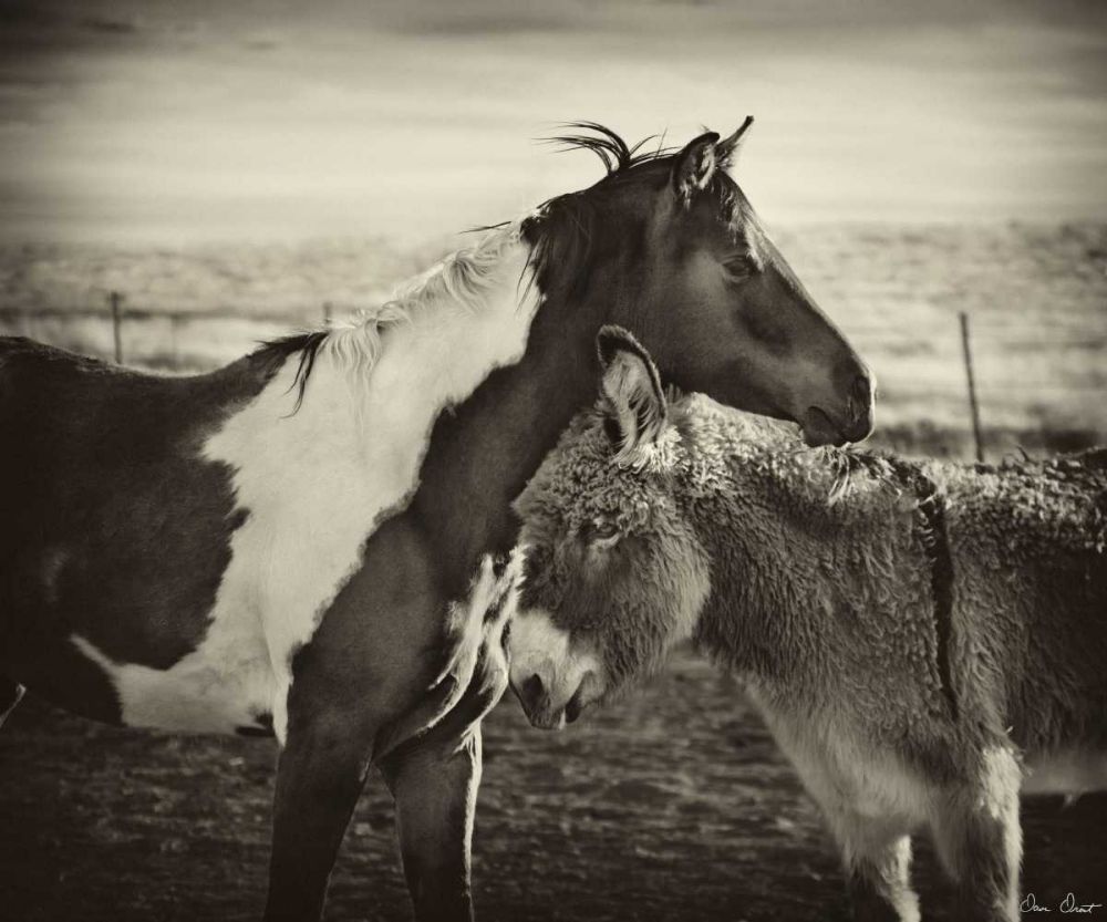 Art Print: Kissing Horses II