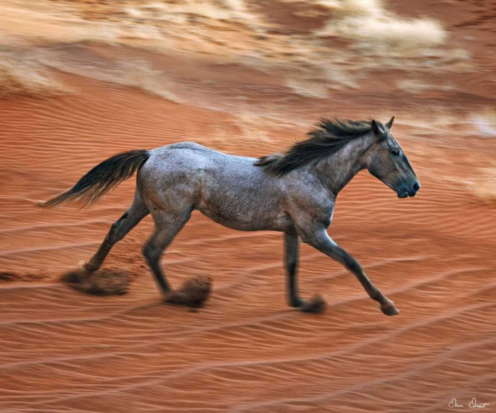 Art Print: Blazing Horse II