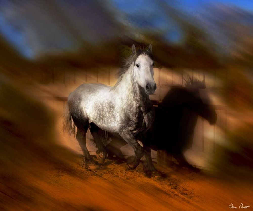 Wall art: Blazing Horse III, by Drost, David