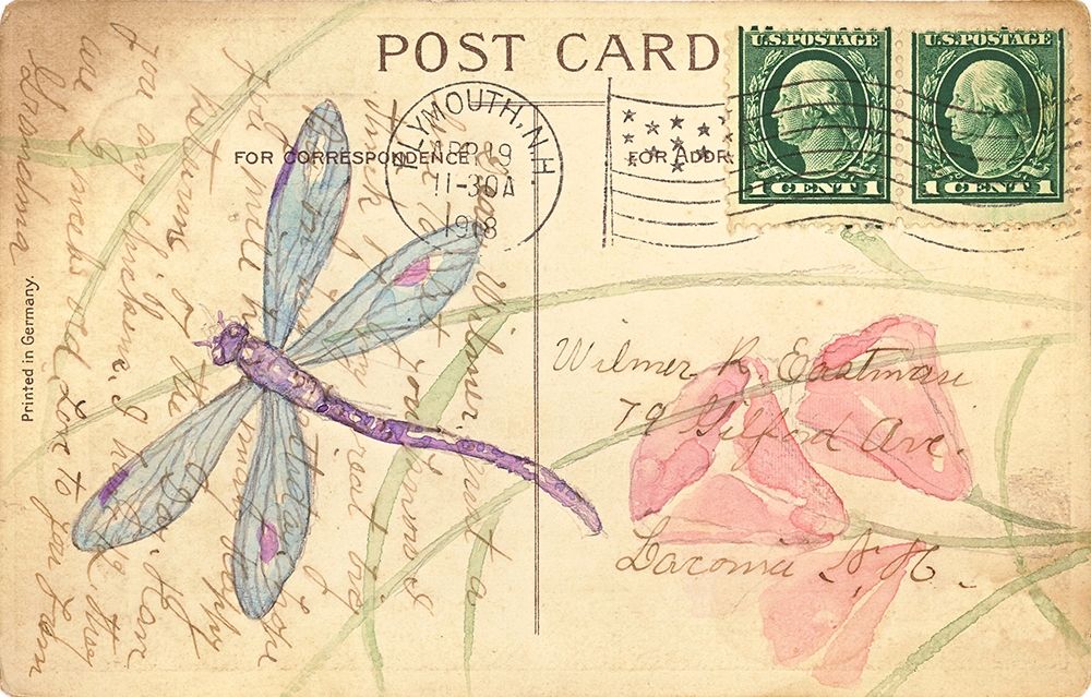 Wall Art Painting id:212546, Name: Postcard Dragonfly I, Artist: Pallan, Nancy S.