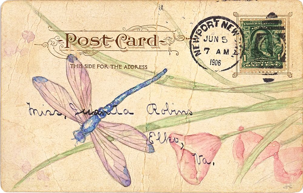 Wall Art Painting id:212547, Name: Postcard Dragonfly II, Artist: Pallan, Nancy S.