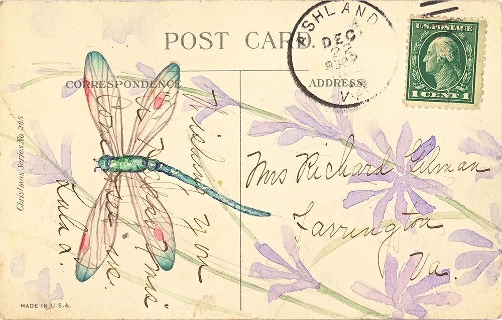 Wall Art Painting id:212548, Name: Postcard Dragonfly III, Artist: Pallan, Nancy S.