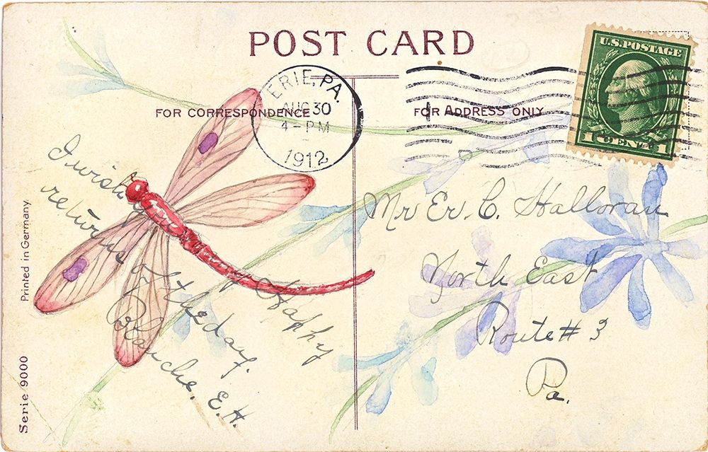 Wall Art Painting id:212549, Name: Postcard Dragonfly IV, Artist: Pallan, Nancy S.